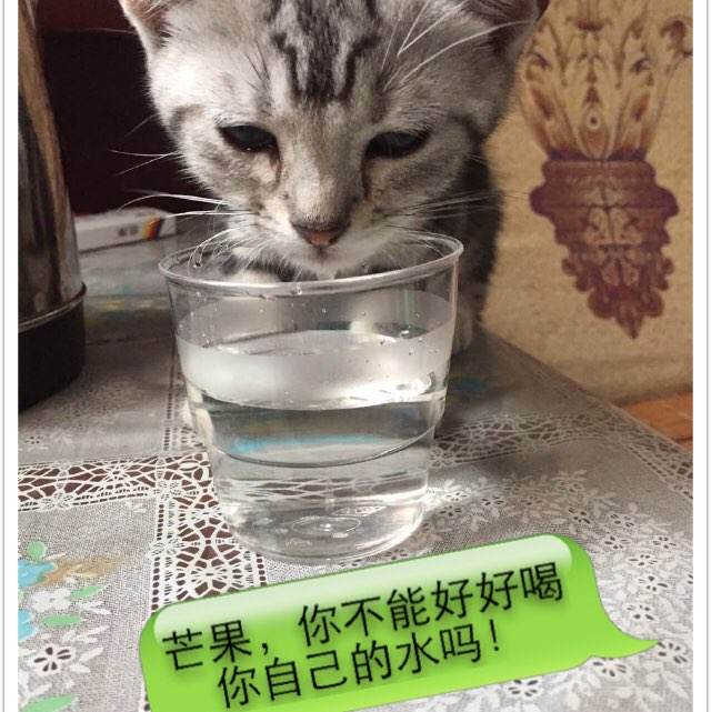不动产证50年到期了怎么办